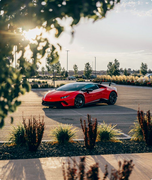 Paint Chips & Cracks