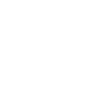 BMW Logo