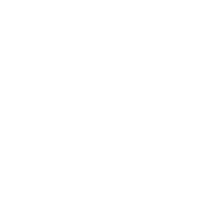 Mercedes Logo